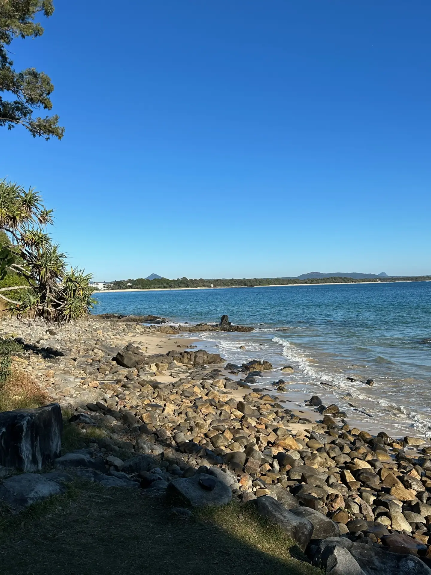Is Now the Right Time to Buy in Noosa? Strategic Market Analysis
