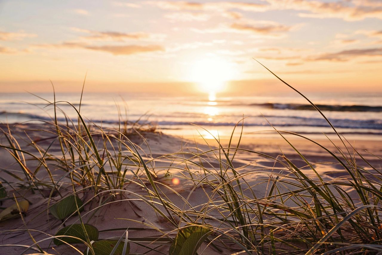 Peregian Beach: A Property Buyer’s Paradise on the Sunshine Coast
