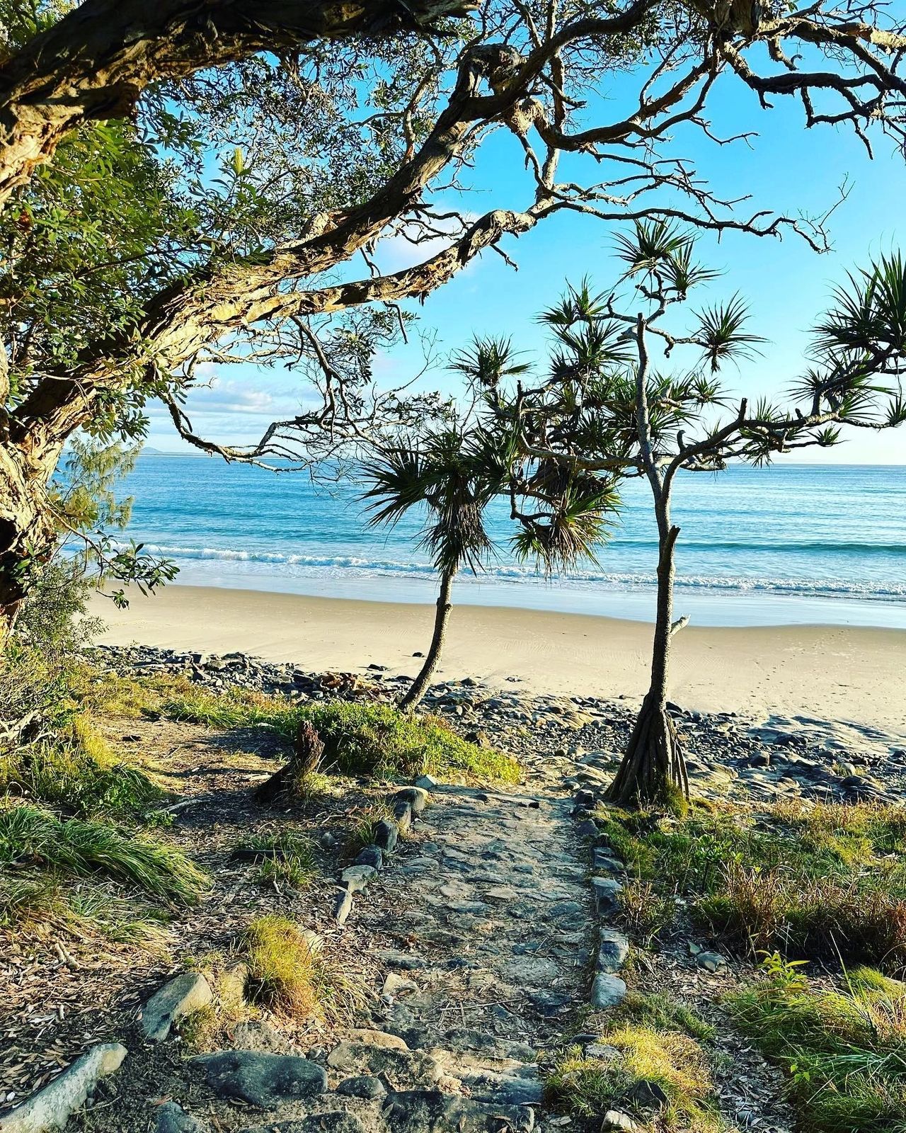 Why use a Sunshine Coast Buyers Agency